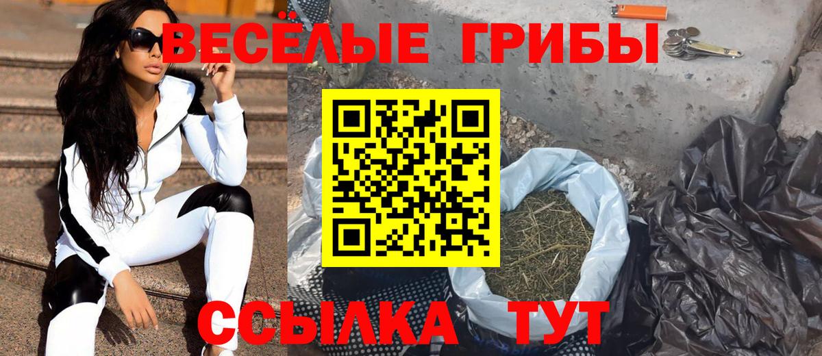 Псилоцибиновые грибы Psilocybine cubensis  дарнет шоп  Маркс 