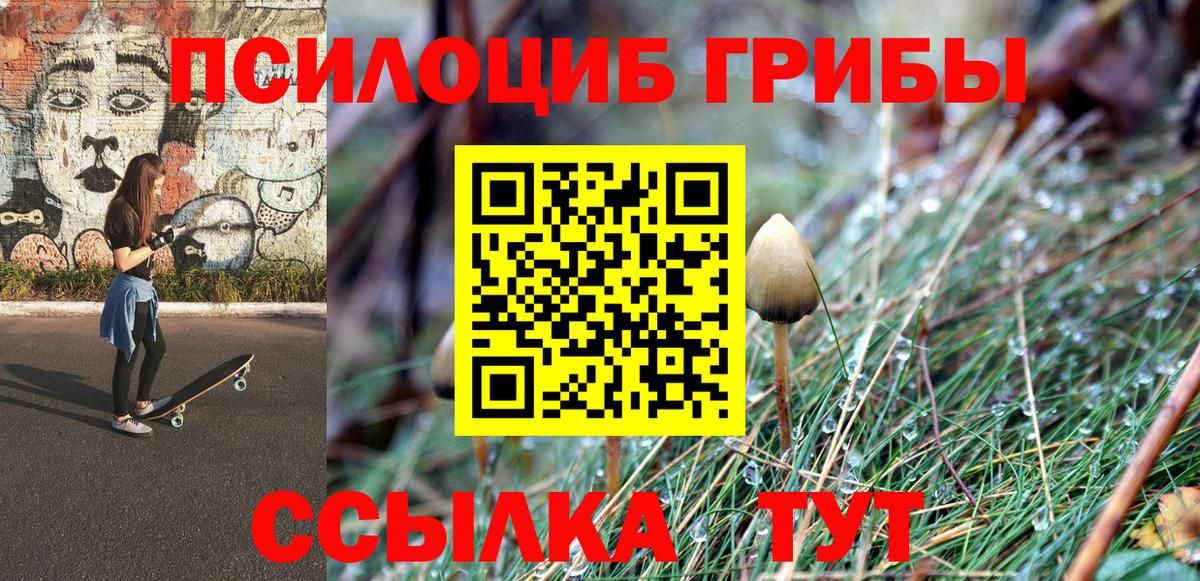 Псилоцибиновые грибы Psilocybe Маркс